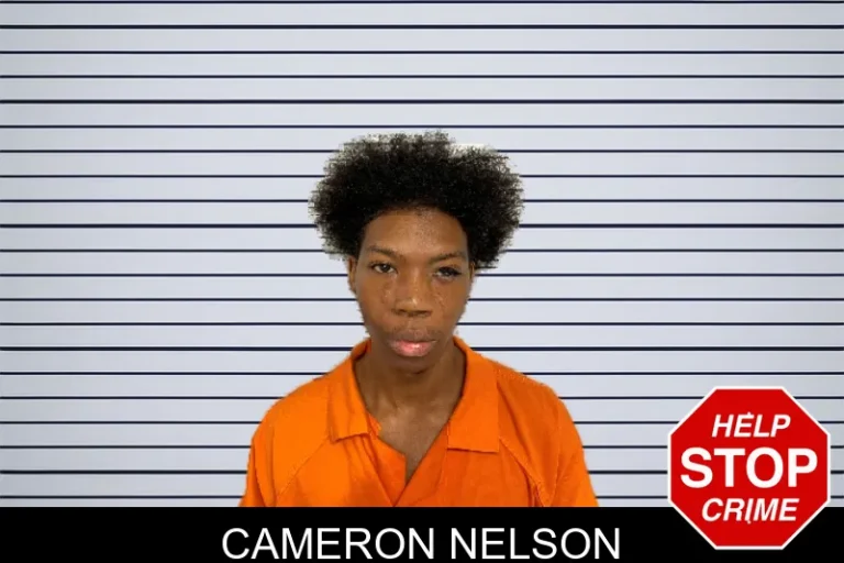 Cameron Nelson mugshot – Rockdale County , Georgia Cameron Nelson