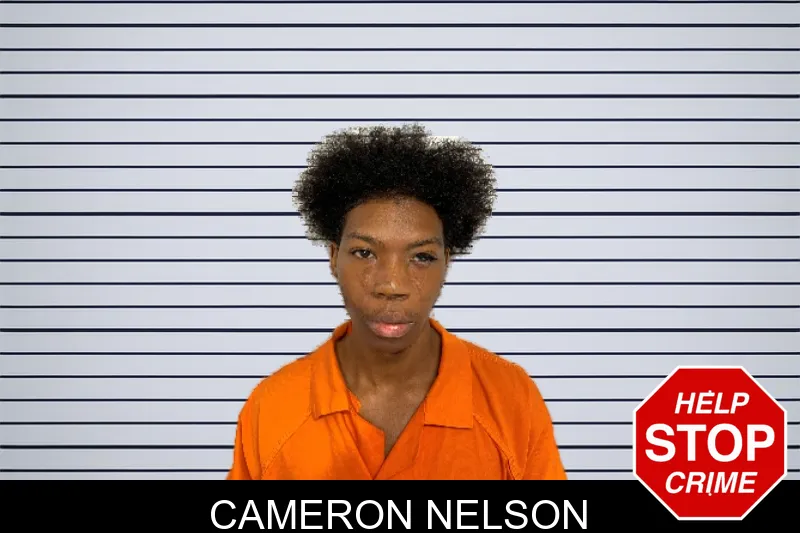 Cameron Nelson mugshot