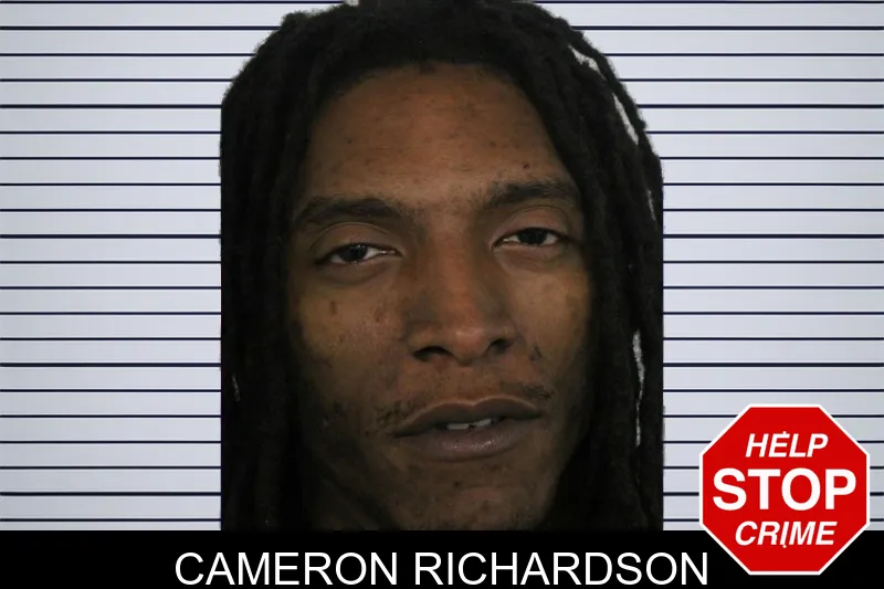 Cameron Richardson mugshot