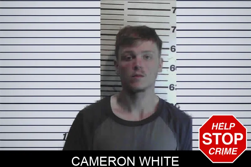 Cameron White mugshot
