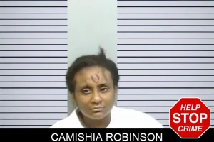 Camishia Robinson mugshot