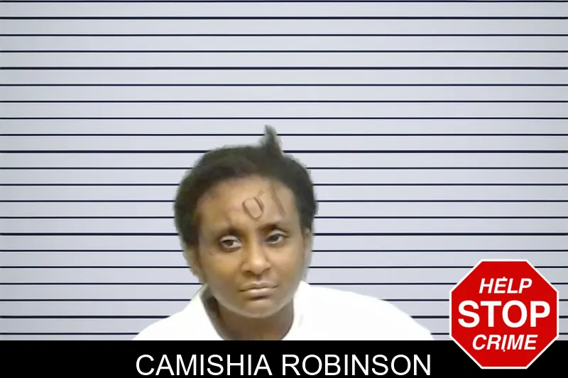 Camishia Robinson mugshot – Fulton County , Georgia Camishia Robinson mugshot