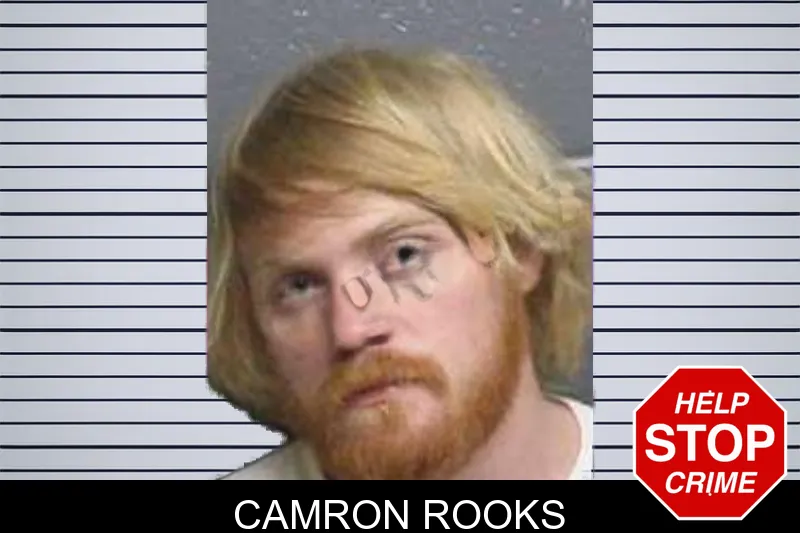 Camron Rooks mugshot – Bacon County , Georgia Camron Rooks mugshot