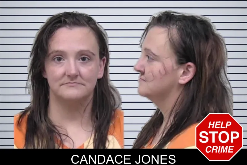 Candace Jones mugshot – Paulding County , Georgia Candace Jones mugshot