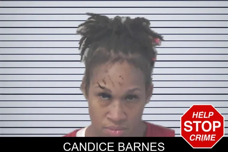 Candice Barnes mugshot – Newton County , Georgia Candice Barnes