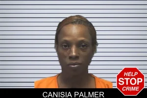 Canisia Palmer mugshot