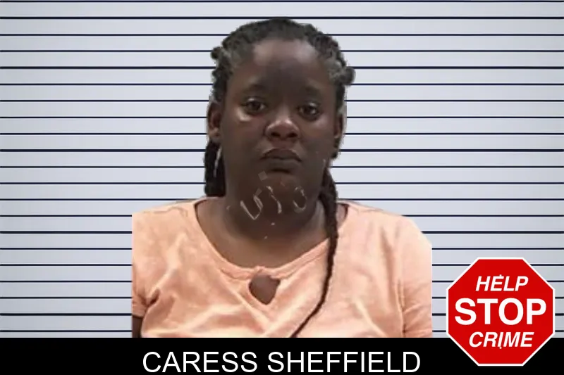 Caress Sheffield mugshot – Baldwin County , Georgia Caress Sheffield mugshot