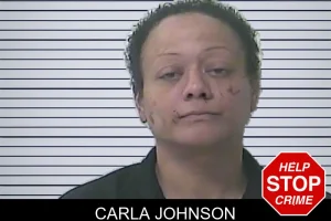 Carla Johnson mugshot