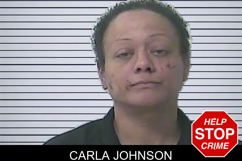 Carla Johnson mugshot