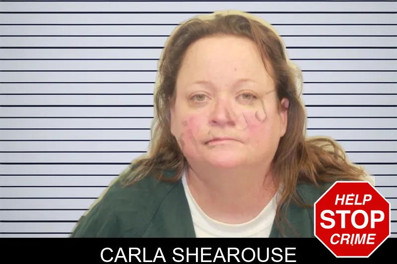 Carla Shearouse mugshot – Chatham County , Georgia Carla Shearouse mugshot
