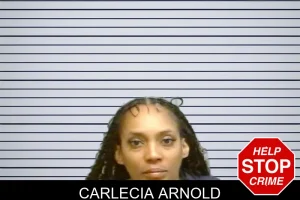 Carlecia Arnold mugshot