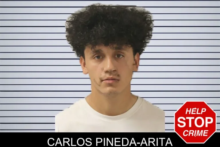 Carlos Pineda-Arita