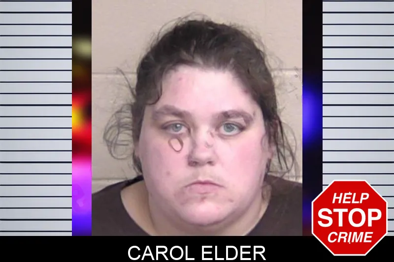 Carol Elder mugshot – Walker County , Georgia Carol Elder mugshot