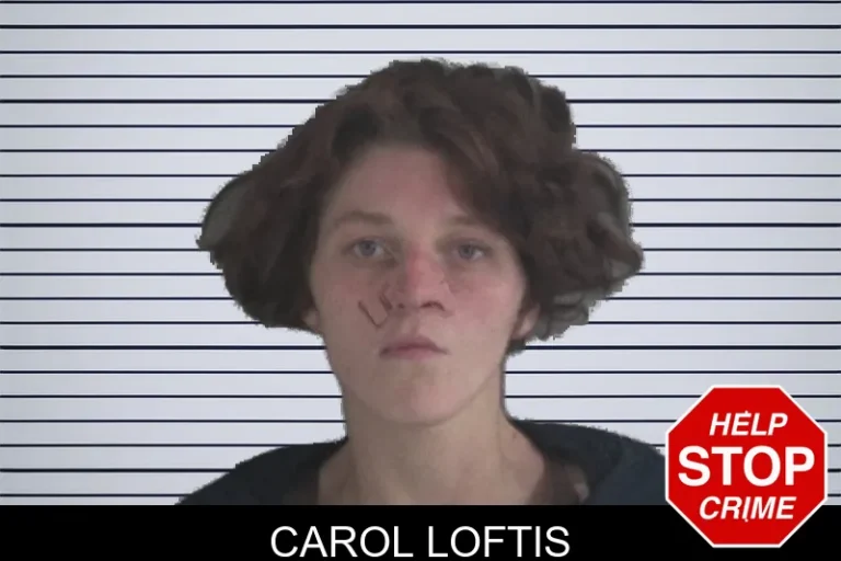 Carol Loftis mugshot – Brantley County , Georgia Carol Loftis