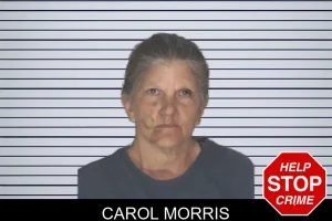 Carol Morris mugshot