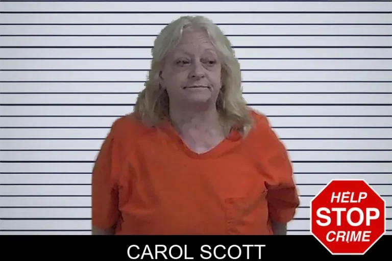 Carol Scott mugshot – Fannin County , Georgia Carol Scott