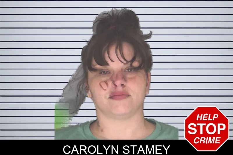 Carolyn Stamey mugshot