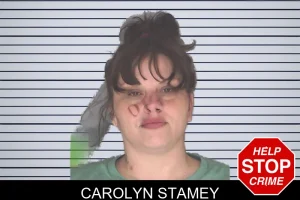 Carolyn Stamey mugshot