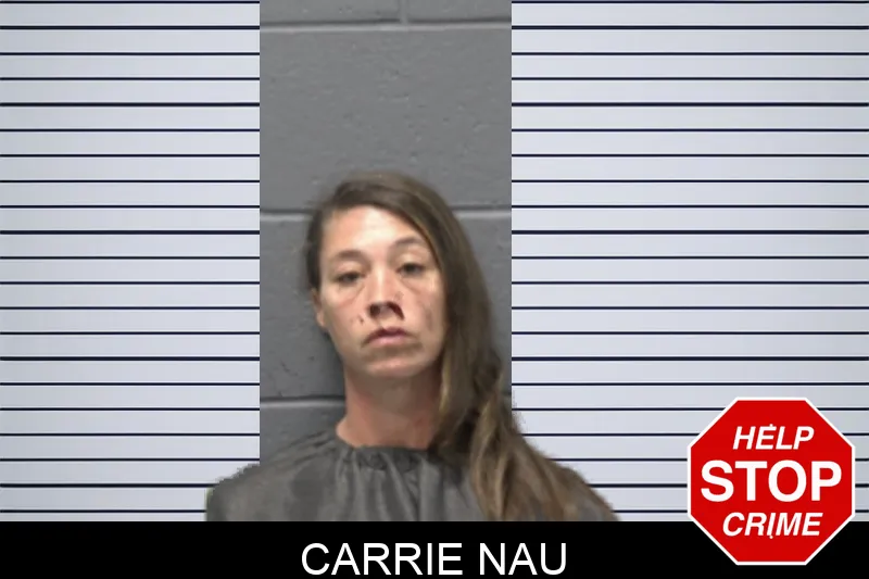 Carrie Nau mugshot – Forsyth County , Georgia Carrie Nau mugshot