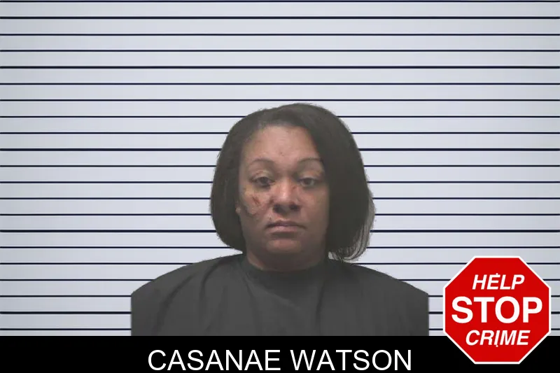 Casanae Watson mugshot – Coweta County , Georgia Casanae Watson mugshot