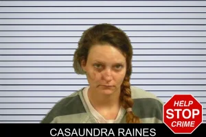Casaundra Raines mugshot