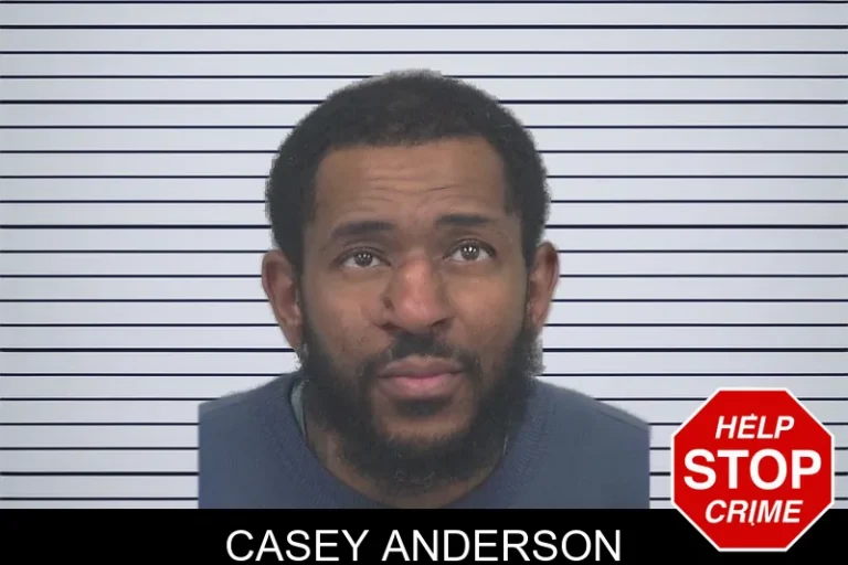 Casey Anderson mugshot – Gwinnett County , Georgia Casey Anderson