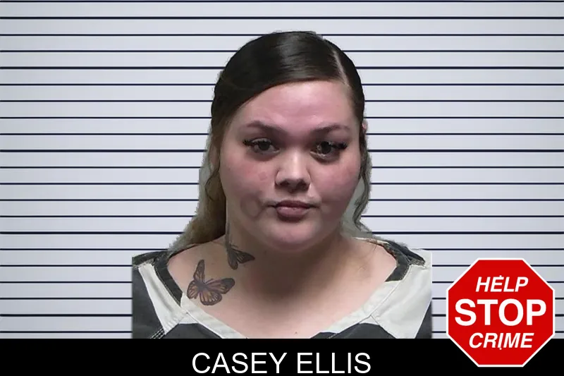 Casey Ellis mugshot