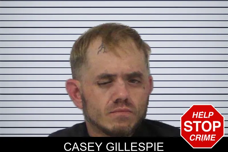 Casey Gillespie mugshot
