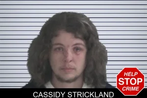 Cassidy Strickland mugshot