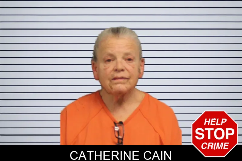 Catherine Cain mugshot