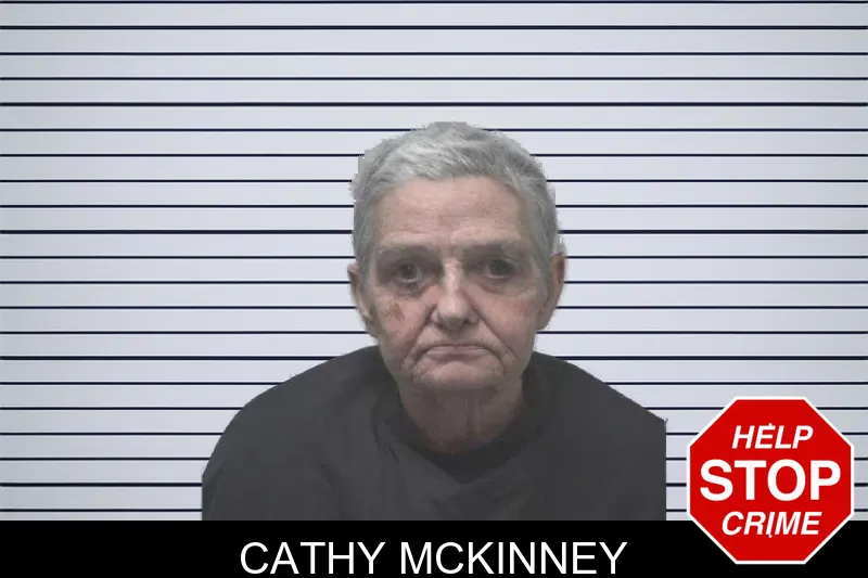 Cathy McKinney mugshot