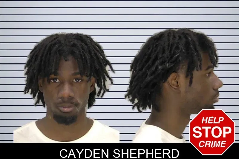 Cayden Shepherd mugshot