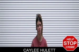 Caylee Hulett mugshot