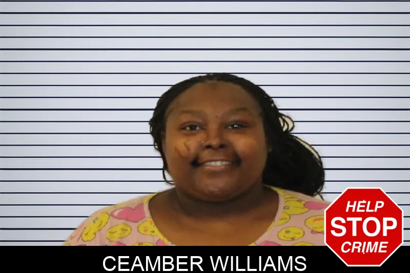 Ceamber Williams mugshot