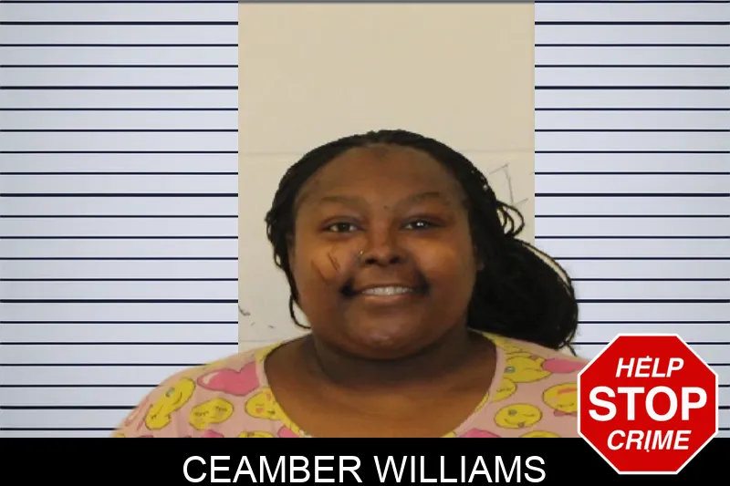 Ceamber Williams mugshot