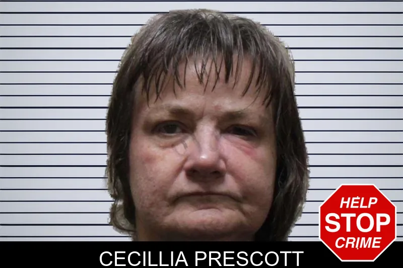 Cecillia Prescott mugshot – Haralson County , Georgia Cecillia Prescott mugshot