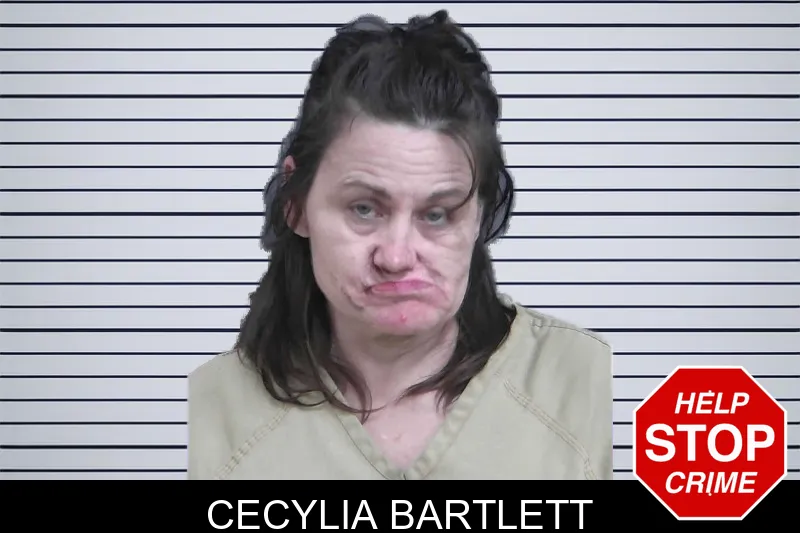 Cecylia Bartlett mugshot – Gordon County , Georgia Cecylia Bartlett mugshot
