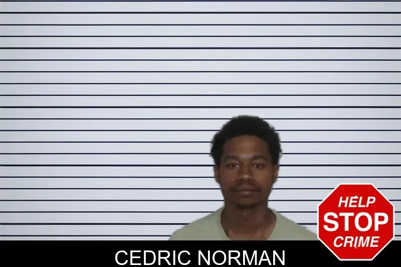 Cedric Norman mugshot