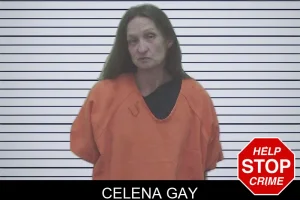 Celena Gay mugshot