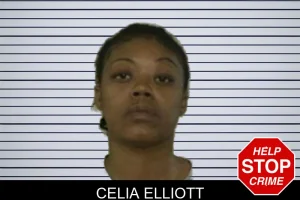 Celia Elliott mugshot