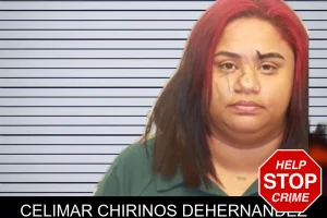 Celimar Chirinos Dehernandez mugshot