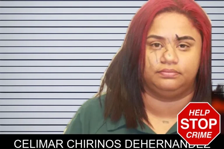 Celimar Chirinos Dehernandez mugshot – Lowndes County , Georgia Celimar Chirinos Dehernandez