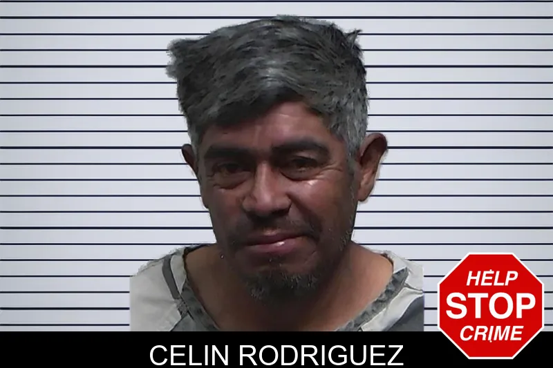 Celin Rodriguez mugshot
