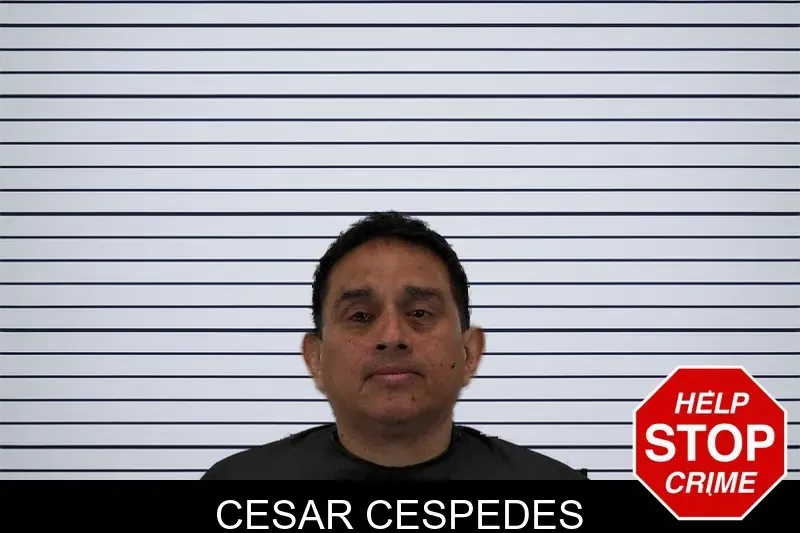 Cesar Cespedes mugshot