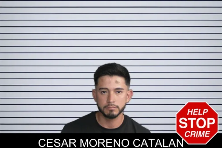 Cesar Moreno Catalan