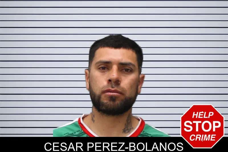 Cesar Perez-Bolanos mugshot