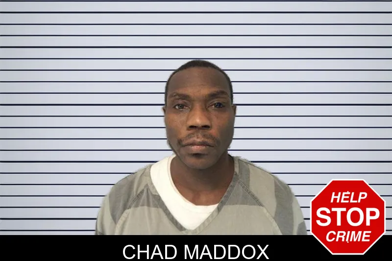 Chad Maddox mugshot