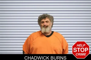 Chadwick Burns mugshot