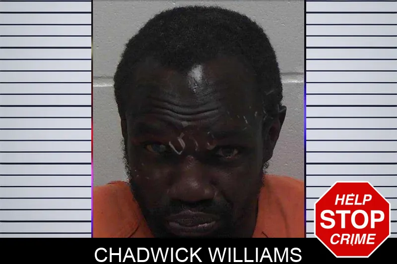 Chadwick Williams mugshot – Laurens County , Georgia Chadwick Williams mugshot