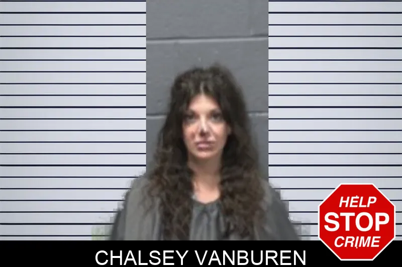 Chalsey Vanburen mugshot – Forsyth County , Georgia Chalsey Vanburen mugshot